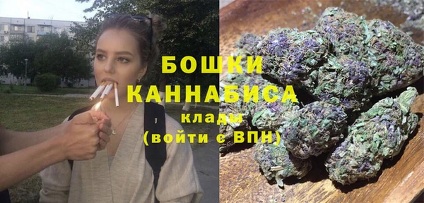 шишки Горно-Алтайск