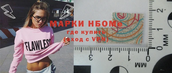 шишки Горно-Алтайск