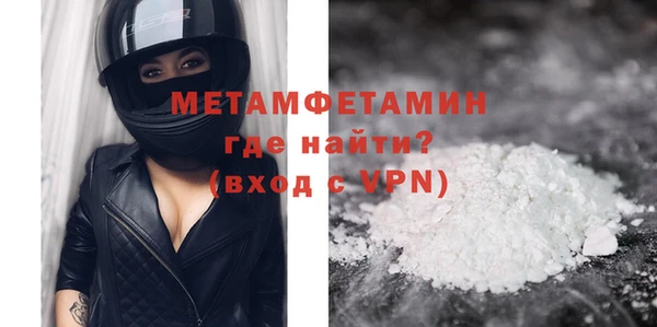 шишки Горно-Алтайск