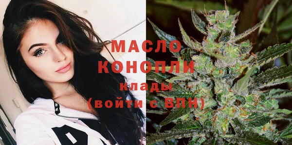 шишки Горно-Алтайск