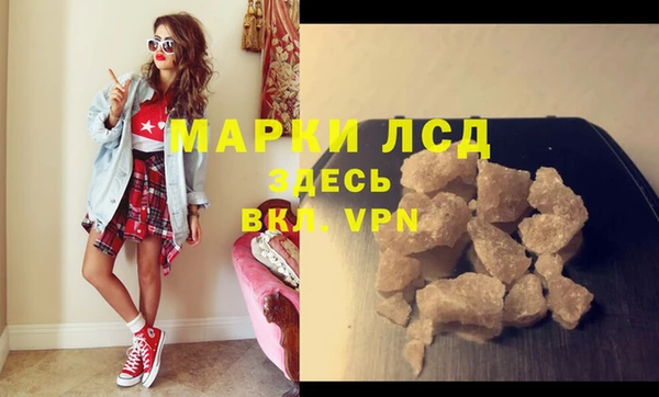 шишки Горно-Алтайск