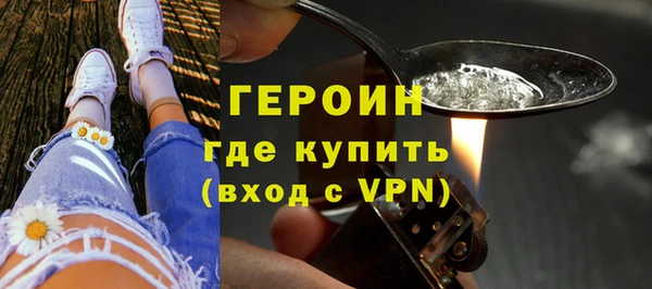 шишки Горно-Алтайск