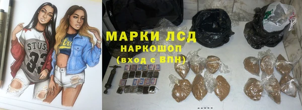 шишки Горно-Алтайск