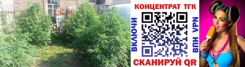 гидра tor  Саранск  Дистиллят ТГК гашишное масло  маркетплейс состав  где можно купить наркотик 