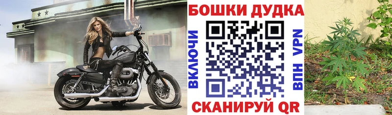 МАРИХУАНА планчик Саранск